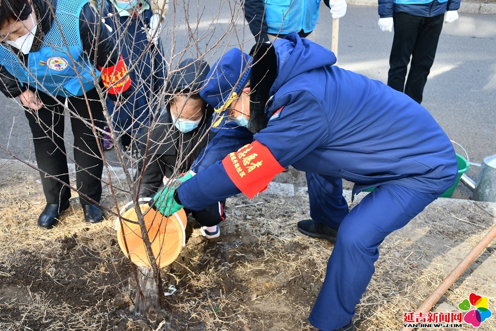 大手牵小手 共添一抹绿