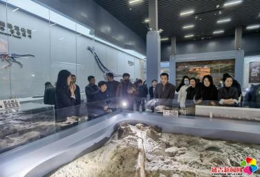 延吉市政协委员视察文旅行业运营情况