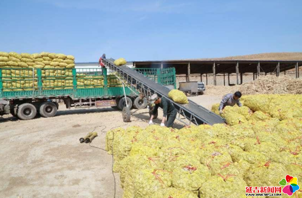 秸秆禁烧安全员 20230420084758447.png