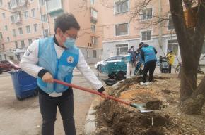 白新社区开展“春日植绿树 携手美家园”志愿服务活动