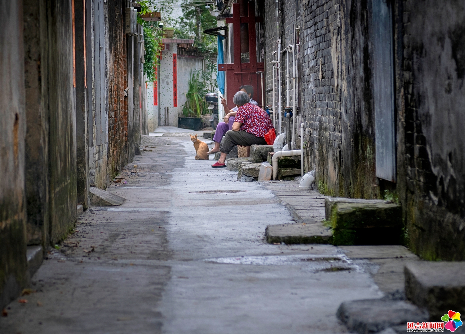 街拍：老巷