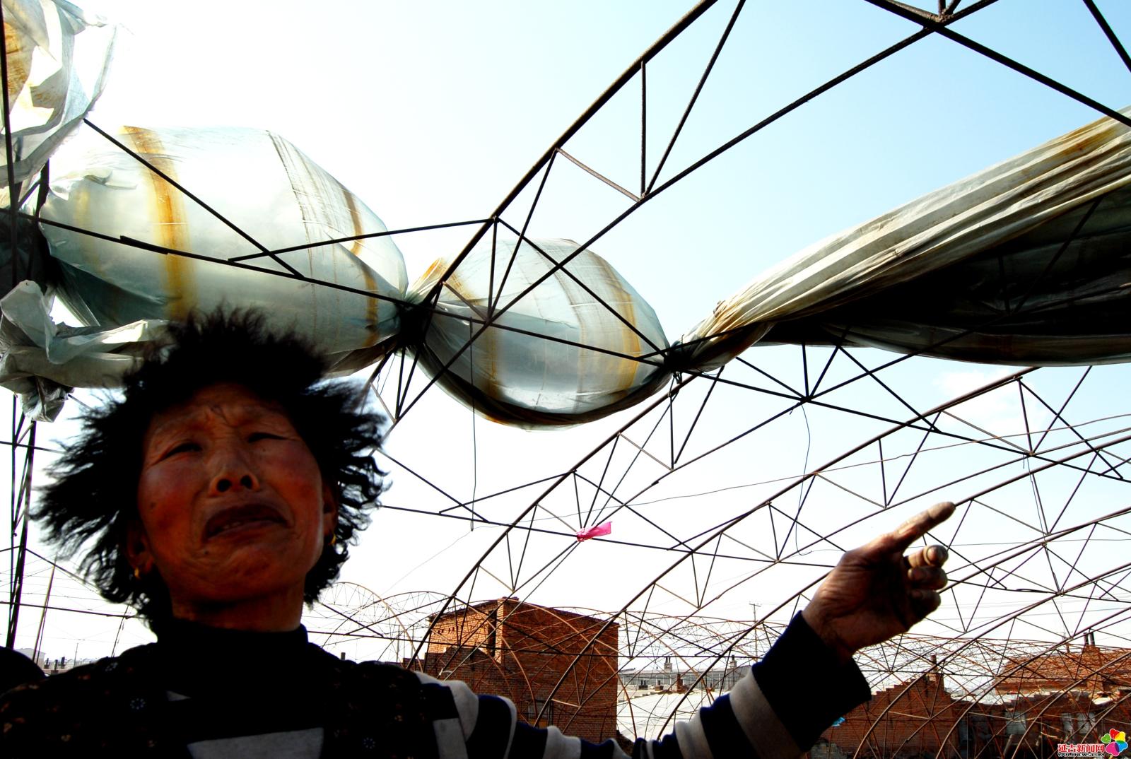 作品：风灾  内容：2008年5月6日，延吉市风灾，小营镇新农村菜农蔬菜大棚受灾严重。