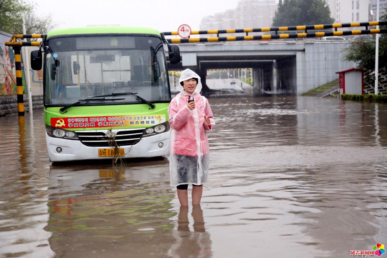 作品：最美女记者  内容：2016年8月30日，台风“狮子山”过境延边。延吉电视台美女记者在洪水中作现场报道。