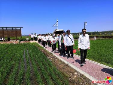 建工街道长青社区开展“观乡村振兴 忆初心使命”迎“七一”主题党日活动