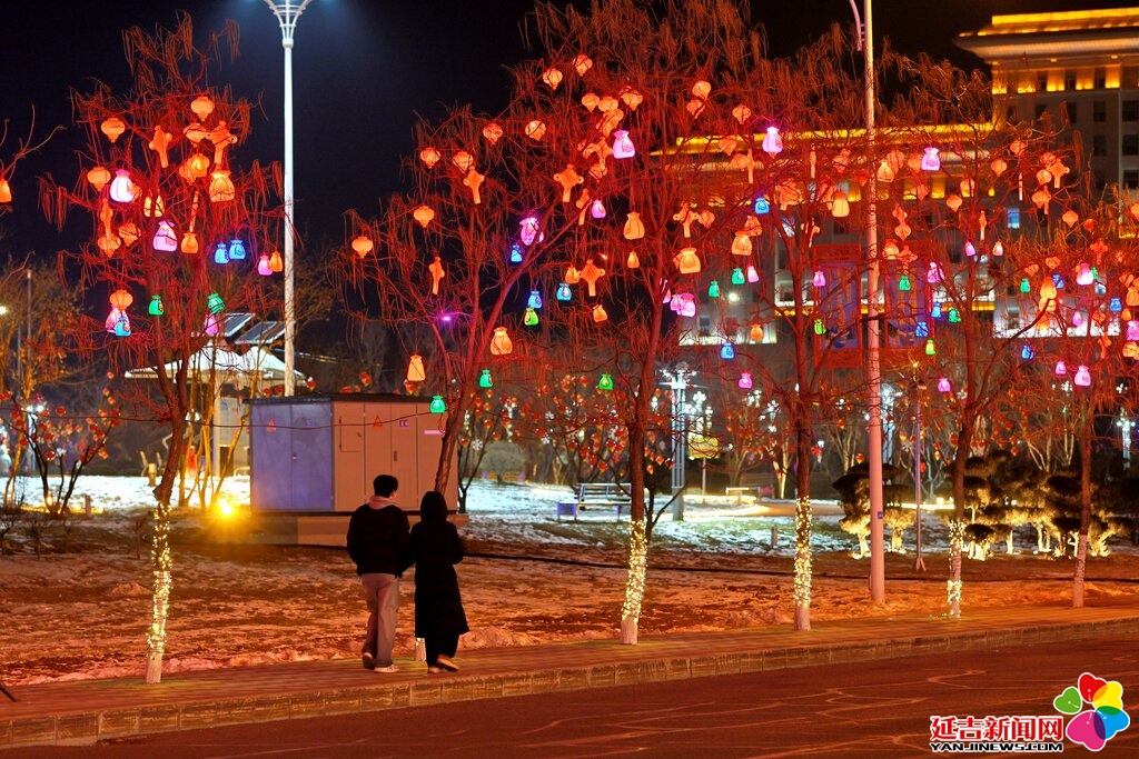 图说延吉｜闪亮延吉！行道树彩灯点“靓”城市冬夜