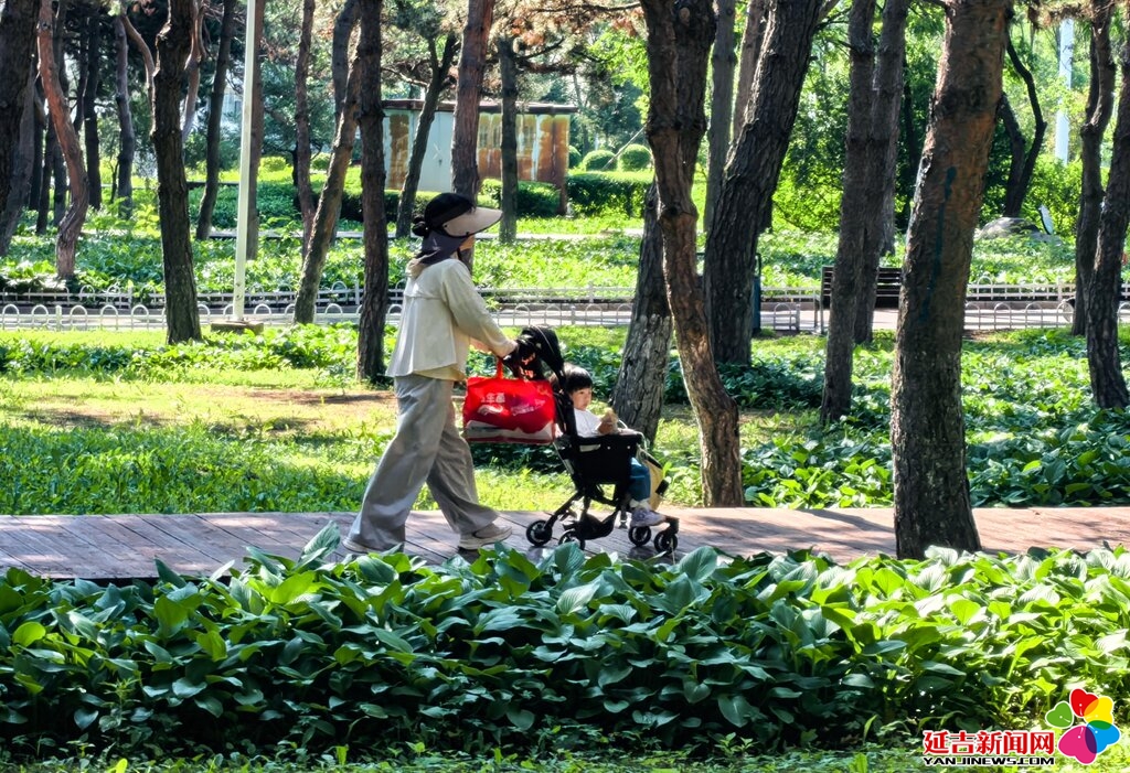 有一种生活叫延吉｜晨光漫林间 延吉人民公园解锁市民惬意日常