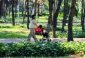 有一种生活叫延吉｜晨光漫林间 延吉人民公园解锁市民惬意日常