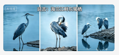 延吉：海兰江畔灰鹭栖