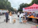 文明养犬共建美好家园 延吉市开展文明养犬主题实践活动