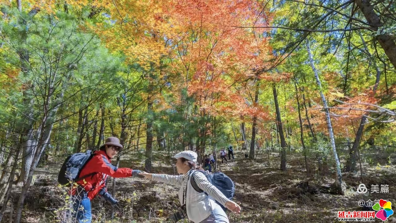 层林尽染醉金秋 山野秋景美如画