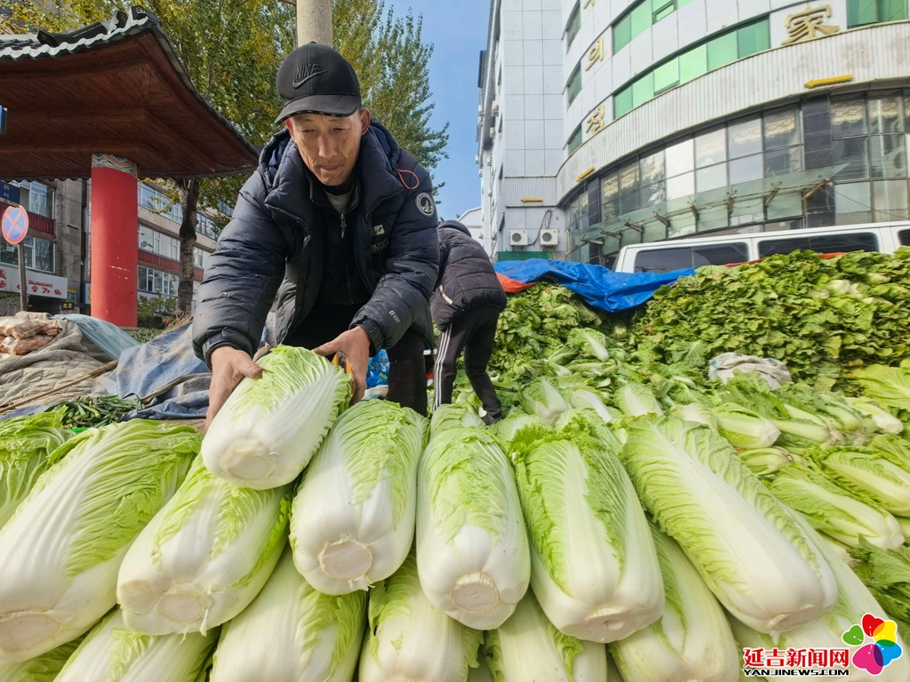 秋菜丰收遇滞销 菜农急寻买家盼帮扶